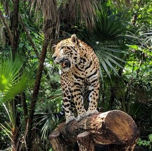 Meet your Posher, Serena